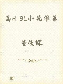 高H BL小说推荐